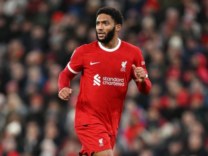 trung-ve-joe-gomez-1