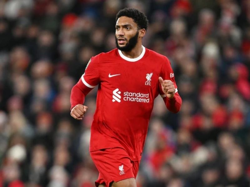 trung-ve-joe-gomez-2